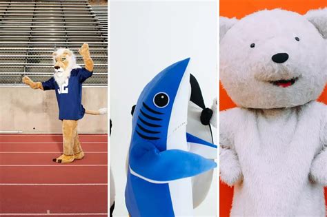 The Rituals and Traditions Surrounding Michigan State School Mascots